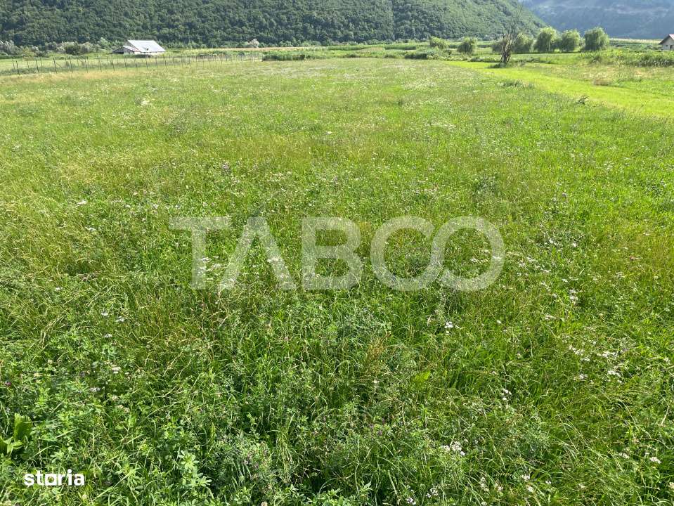 Teren intravilan 3450 mp Boita, 35 m deschidere, la 700 m de A1 - Imagine principală: 2/2