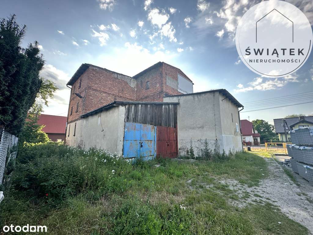 Młyn w Gniewkowie Nowa Cena - Pełny obrazek: 5/12