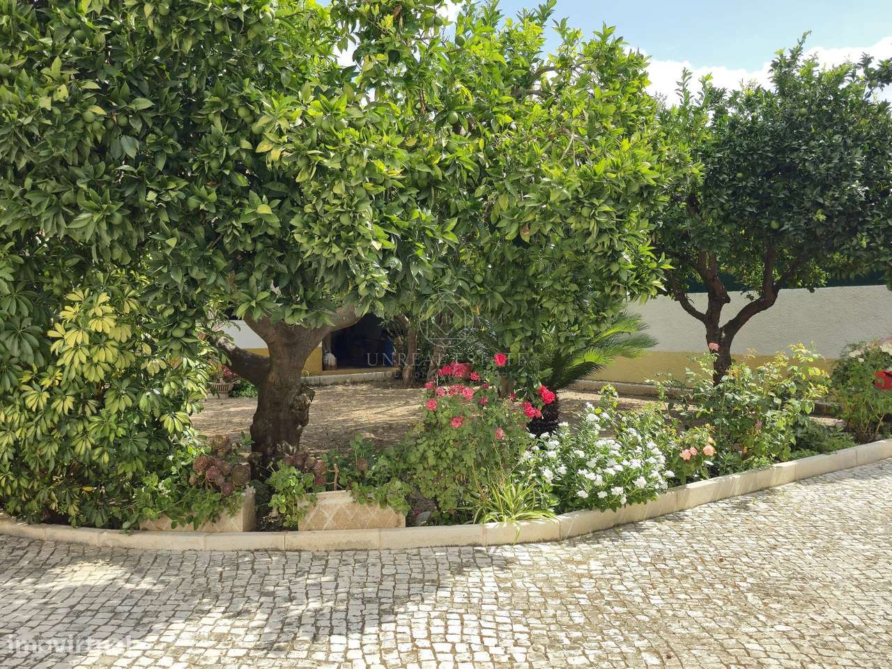 Moradia T3 Térrea Isolada com Jardim, Garagem e Churrasqueira | a 5 Mi-43