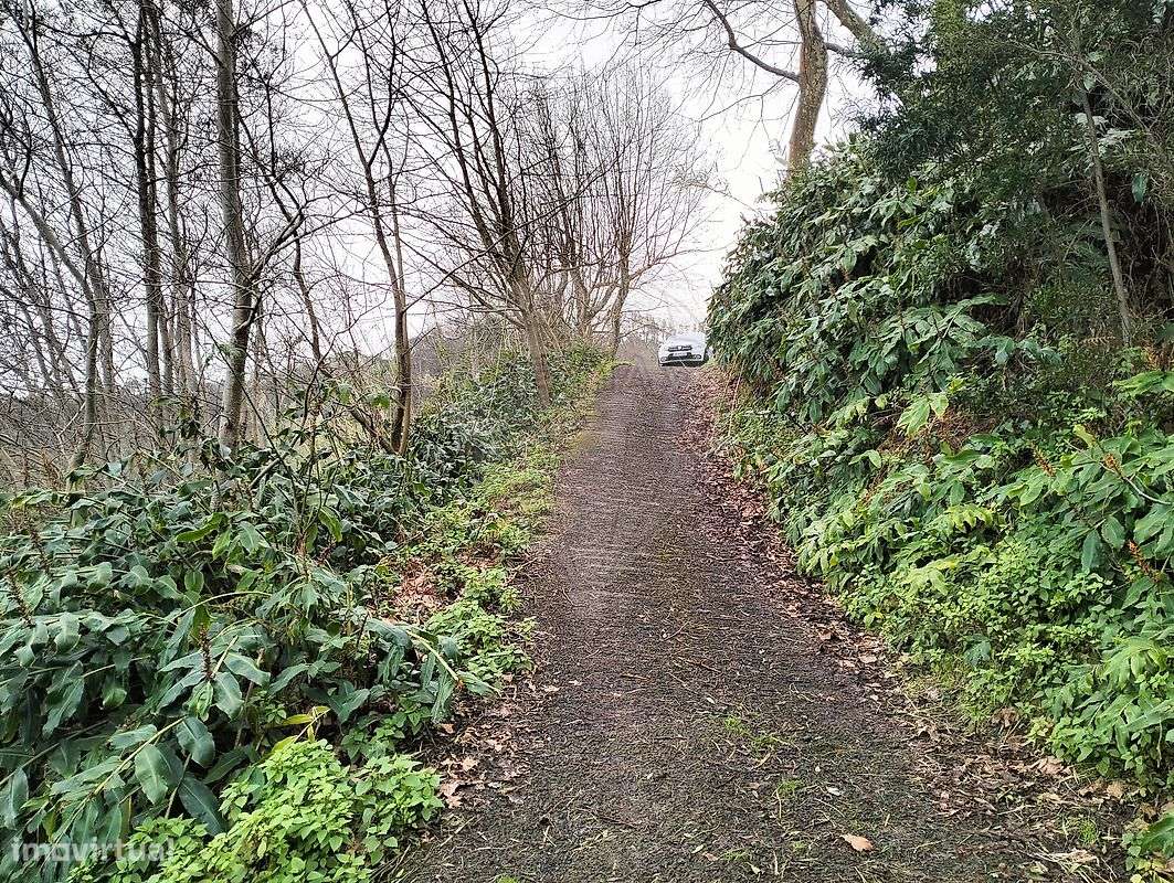 Terreno  para venda - Grande imagem: 4/12