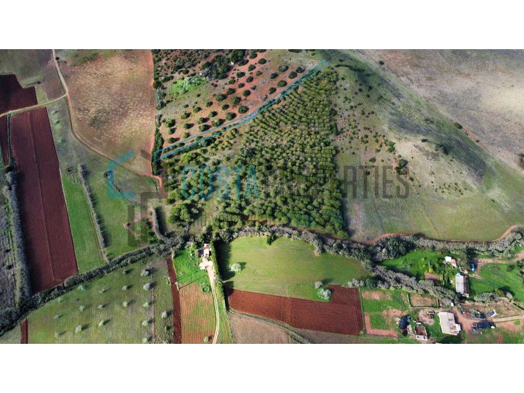 Terreno Rústico para Cultura Arvense na Raposeira - Grande imagem: 2/16