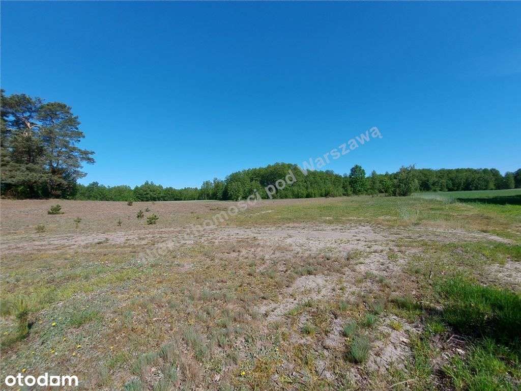 Dogodne Wymiary, Media, Magiczny Widok. - Pełny obrazek: 4/9