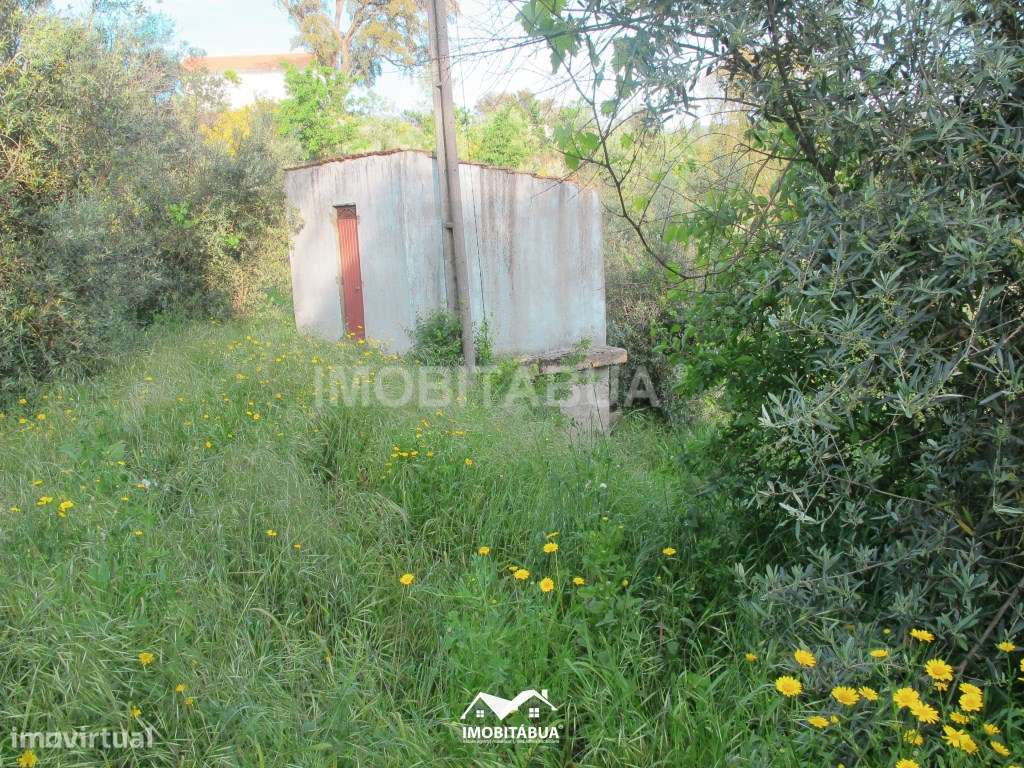 Terreno rústico de 8000 m2 com viabilidade de construção a cerca de...-11