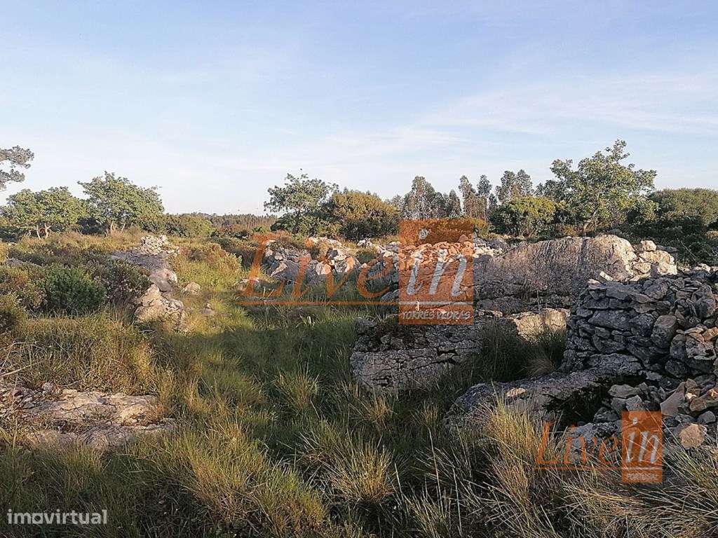 Terreno Rústico com 44520 m² na Lourinhã - Grande imagem: 4/12