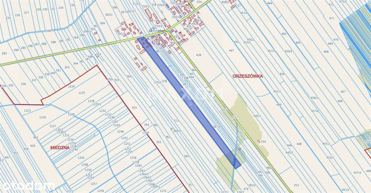 Siedlisko-dom wolnostojący,Orzeszówka, gm. Miedzna - Pełny obrazek: 4/16