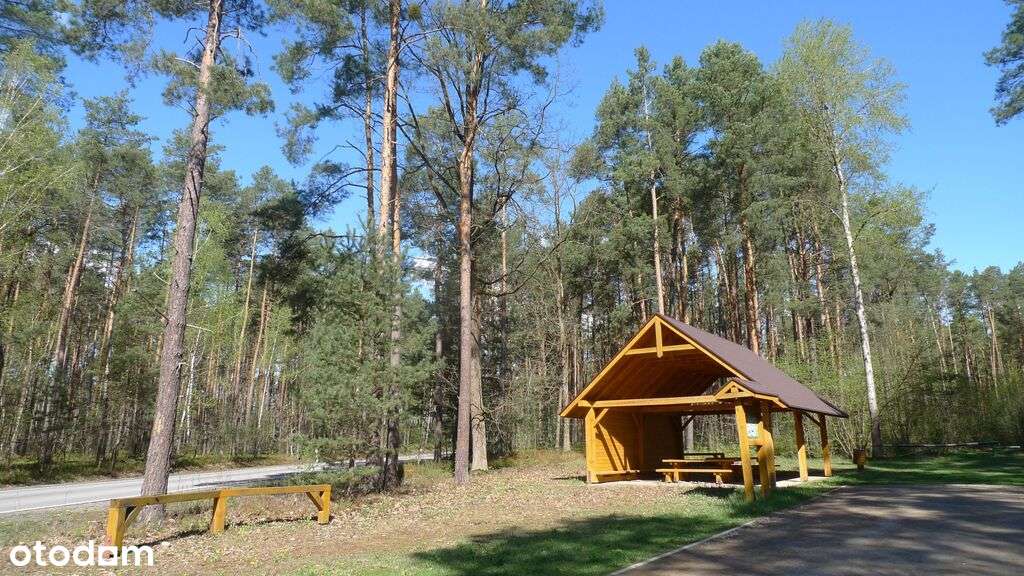 siedlisko, prawie 1 ha ziemi, w pięknym otoczeniu!-11