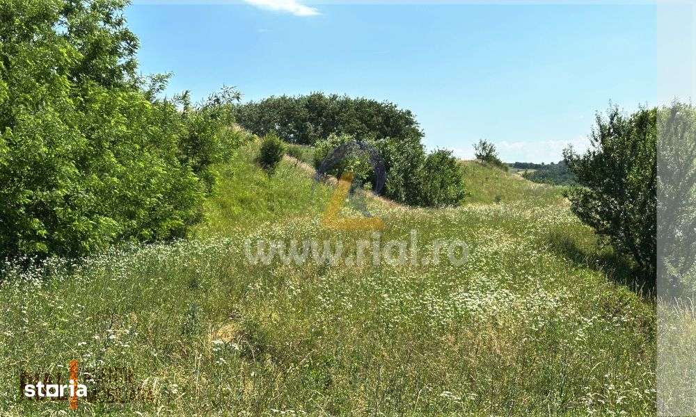 Teren Intravilan 4405 mp - Imagine principală: 4/5