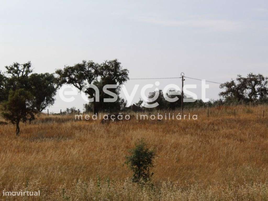 Terreno com Ruína - Melides - Grande imagem: 2/20