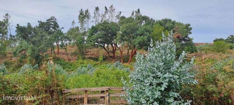 Quinta com 10 hectares, Cernache do Bonjardim, no Centro de Portugal. - Grande imagem: 5/12