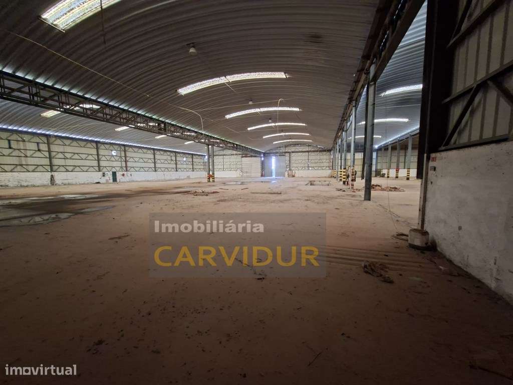 Armazém Industrial de Grande Dimensão - Parque Industrial da Mitren...-6