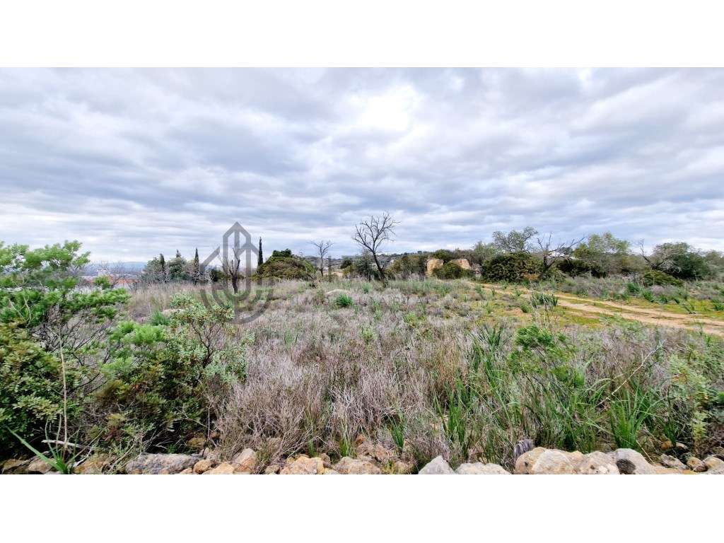 Terreno com Ruína - Grande imagem: 4/19