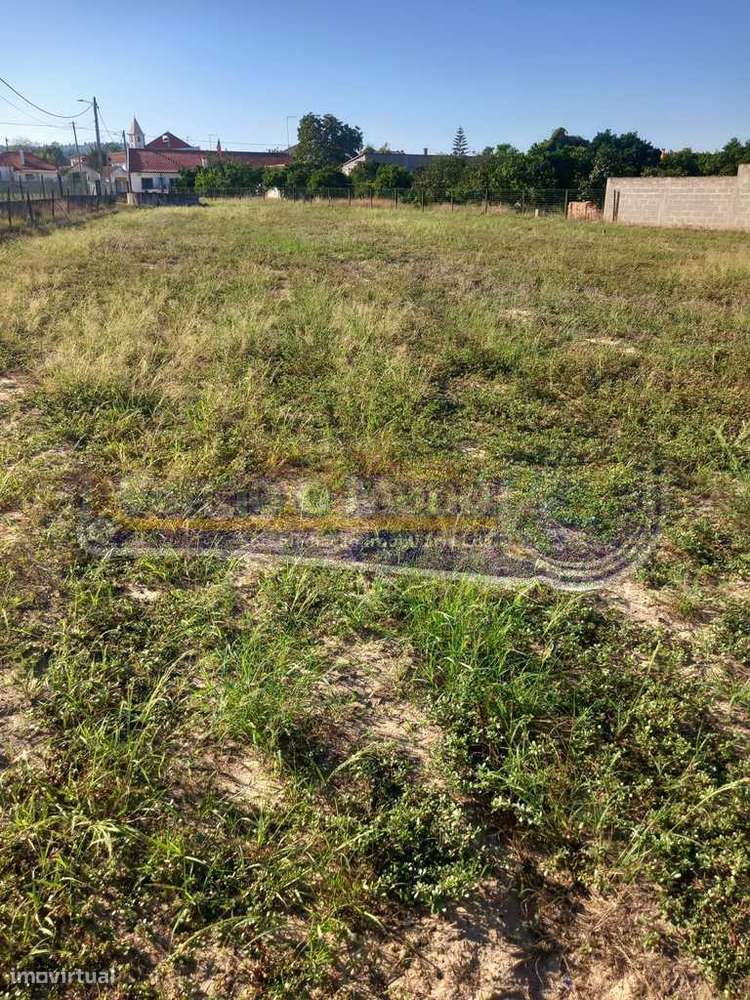 Terreno na Chamusca (STR043) - Grande imagem: 3/4