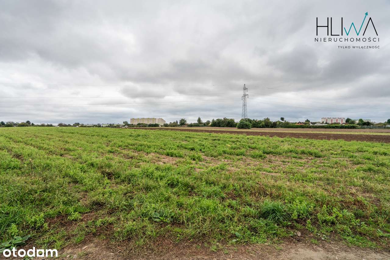 Działki rolne Gdynia Obłuże, powierzchnie od 3003 m2-6