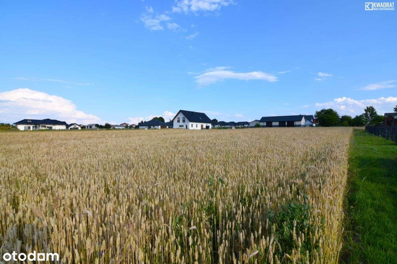 Prawiedniki/ działka budowlana/ 1275 m2 - Pełny obrazek: 5/5