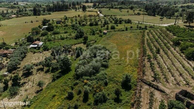Terreno / Fundão, Vale Prazeres - Grande imagem: 3/14