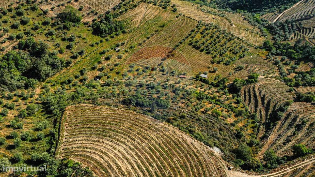 Terreno  para venda - Grande imagem: 5/6