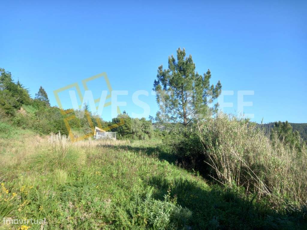 Terreno em Sobral de Abelheira - Terreno rústico com 24123m2 - Grande imagem: 5/15