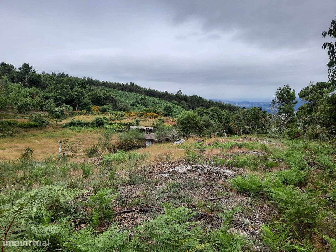 Terreno agrícola e florestal em Monte, Fafe - Grande imagem: 5/60