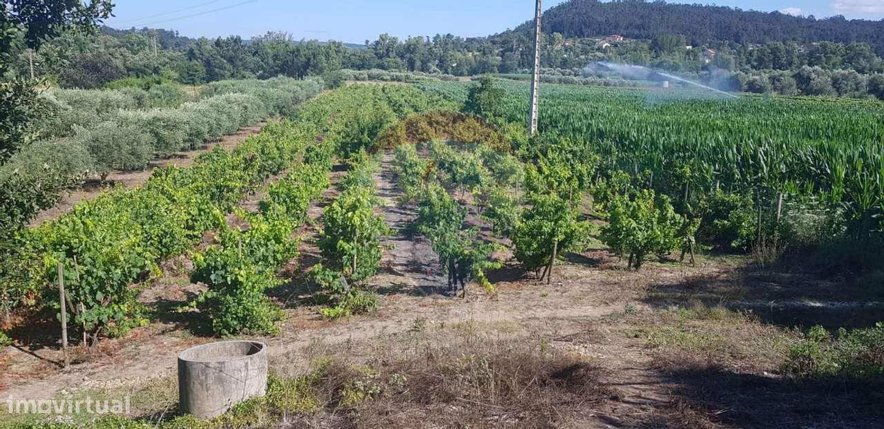 Terreno  para venda - Grande imagem: 2/7