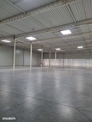 Komornik hala2000m2-5000m2 bez kosztów dodatkowych