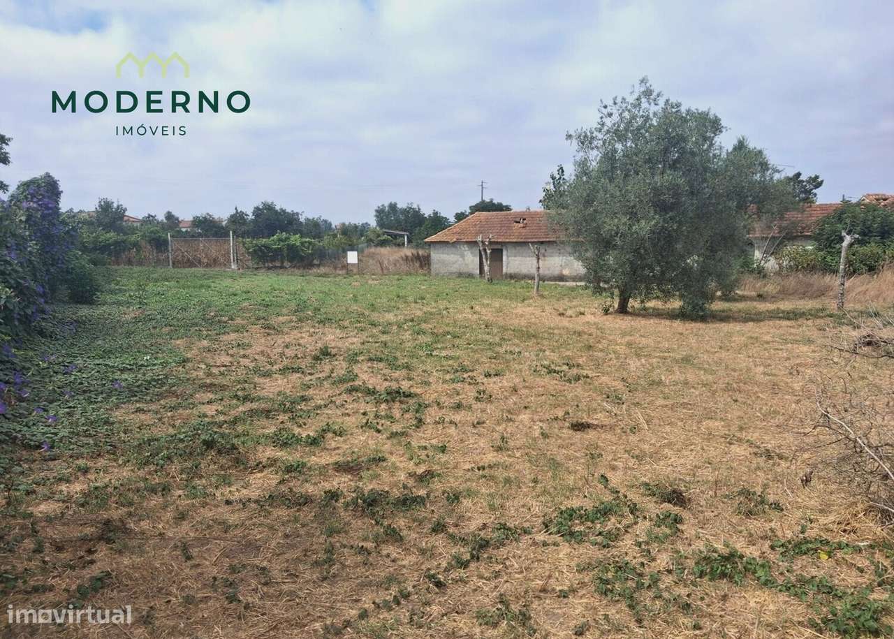 Terreno Construção - Ilha, Pombal-7
