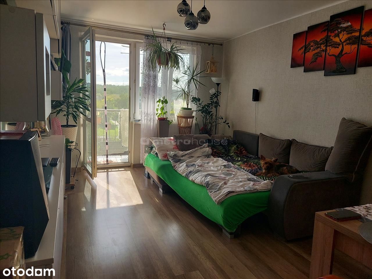 Słoneczne 2 pokoje mieszkanie w Skawinie