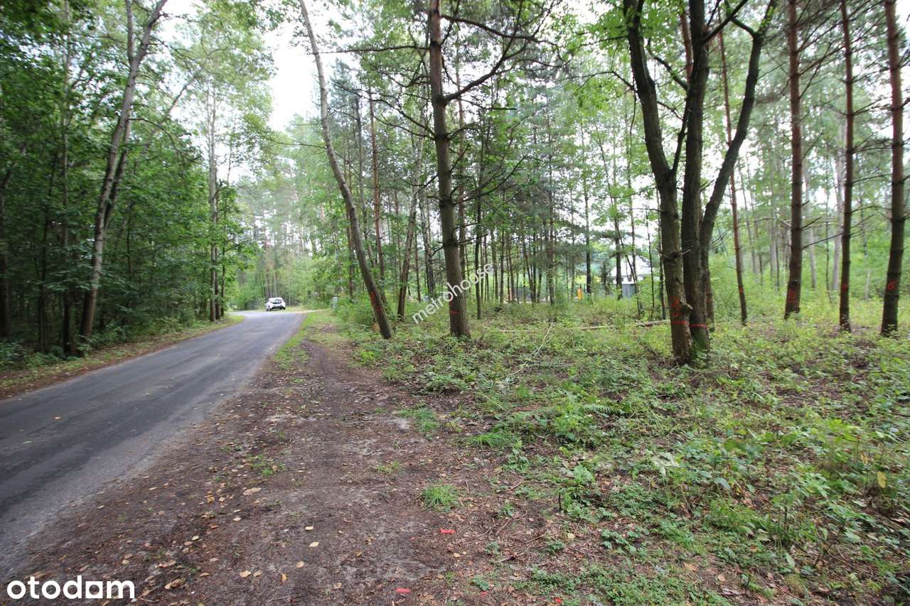 Działka budowlana z lasem 5653mkw - Pełny obrazek: 4/6