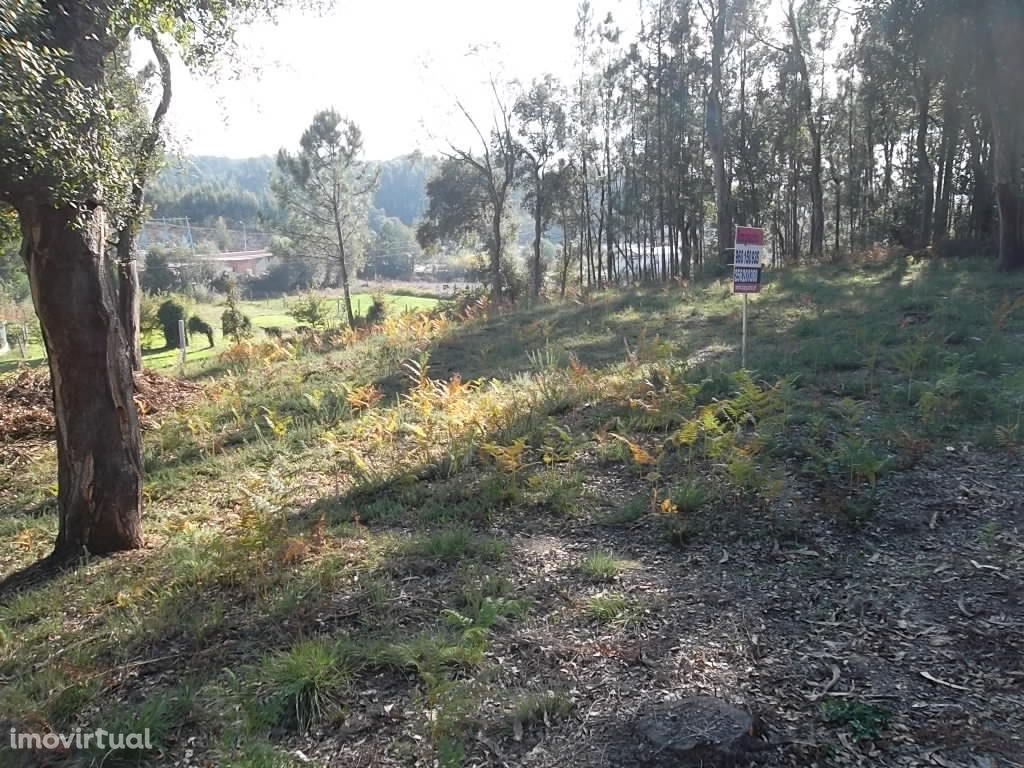 Terreno  Venda em Nogueira do Cravo e Pindelo,Oliveira de Azeméis