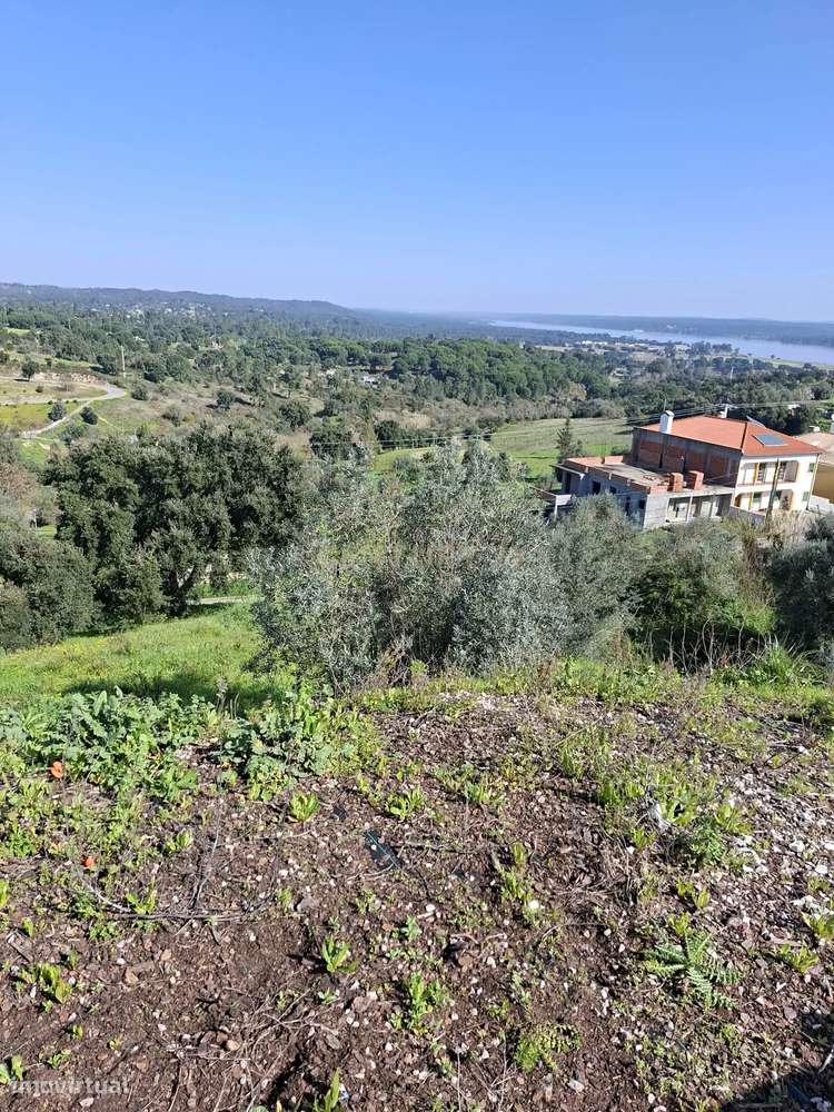 Oportunidade – Lote de Terreno em Montargil-7