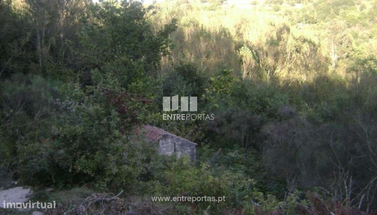 Venda Terreno, Campelo, Baião - Grande imagem: 2/5