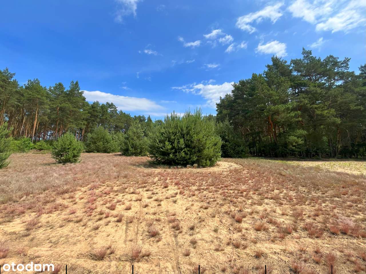 Straszewo - działka budowlana-3