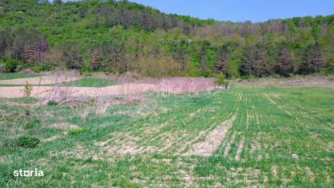 Teren 900 Mp,  Extravilan, 10 m Deschidere La Drum De Vanzare, Corunca