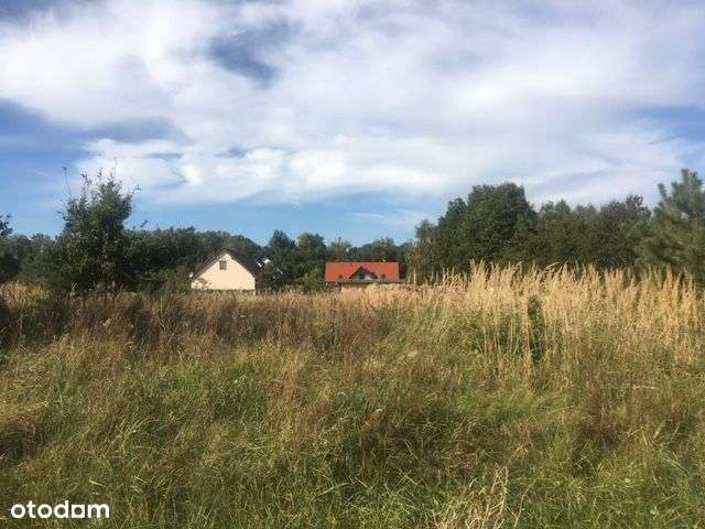 Działka przy domach i lini lasu - Pełny obrazek: 4/6