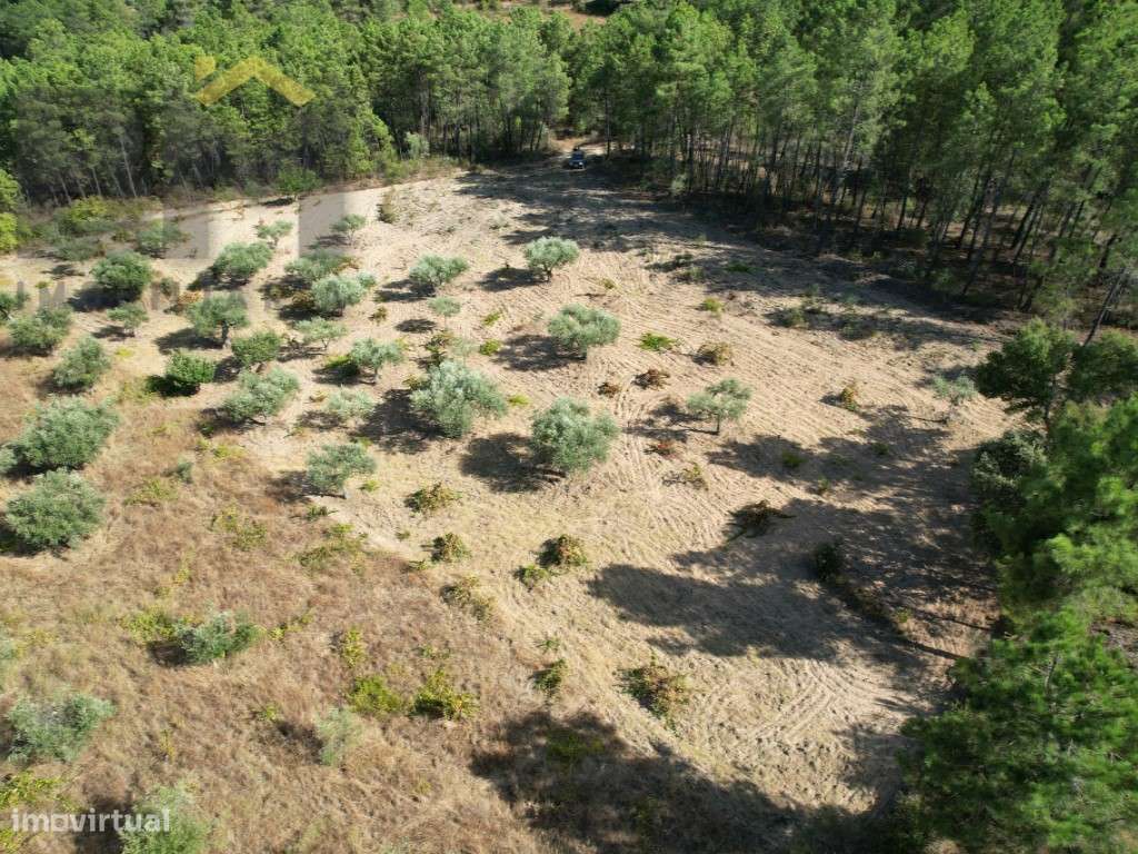 Quintinha em Salgueiro do Campo, Castelo Branco - Grande imagem: 3/15