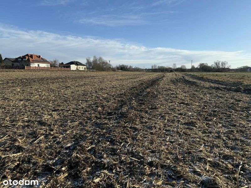 Na sprzedaż działka budowlana w Gostyninie !!! - Pełny obrazek: 4/7