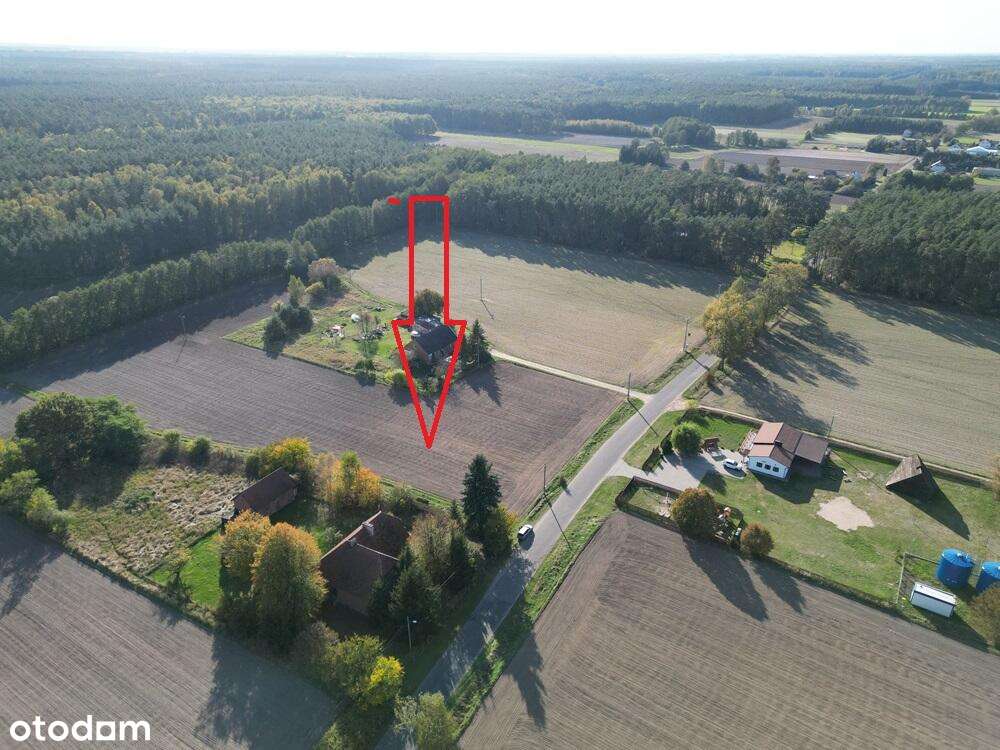 Na wsi blisko lasu - Pełny obrazek: 4/8