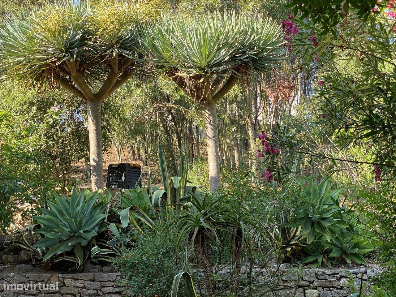 T5 | 2631m² | Cotovia, Sesimbra-32