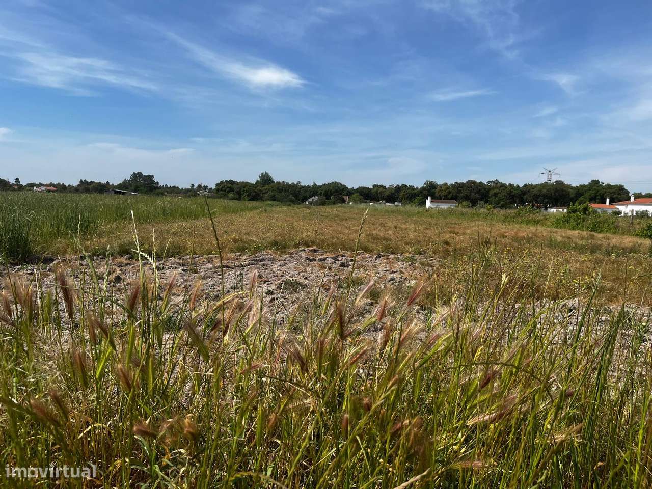 Terreno com 5000m2, com casa para restaurar - Granho Novo Marinhais...-7