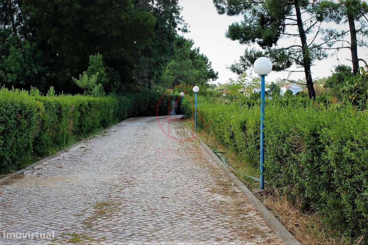 Quinta Moradia T6 inserida em lote com 13.630 m2 em Alhos Vedros – M - Grande imagem: 5/39