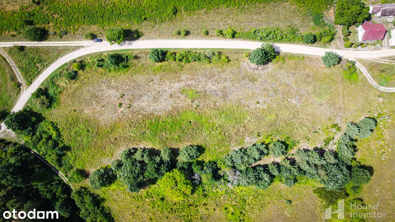 Nowe Kurowo- Piękna działka w otulinie lasów 1247 m2, warunki zabudowy - Pełny obrazek: 5/8