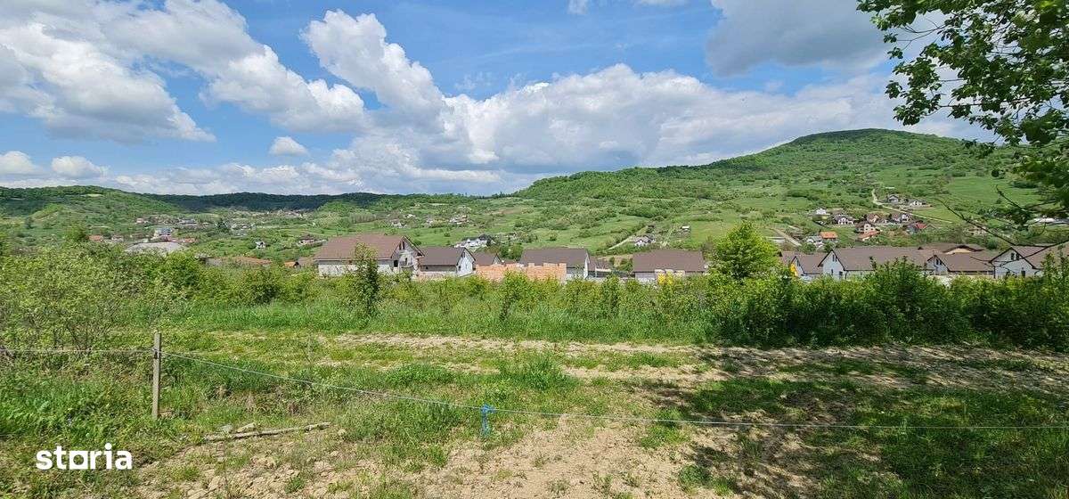 Teren 1500 mp pe str Paltinului, Valea Ghinzii , extravilan Bistrita-3