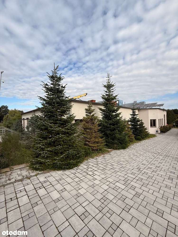 Obiekt inwestycyjny gastronomiczno - mieszkalny - Pełny obrazek: 2/9