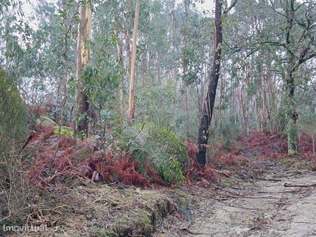 Terreno  para venda - Grande imagem: 4/13