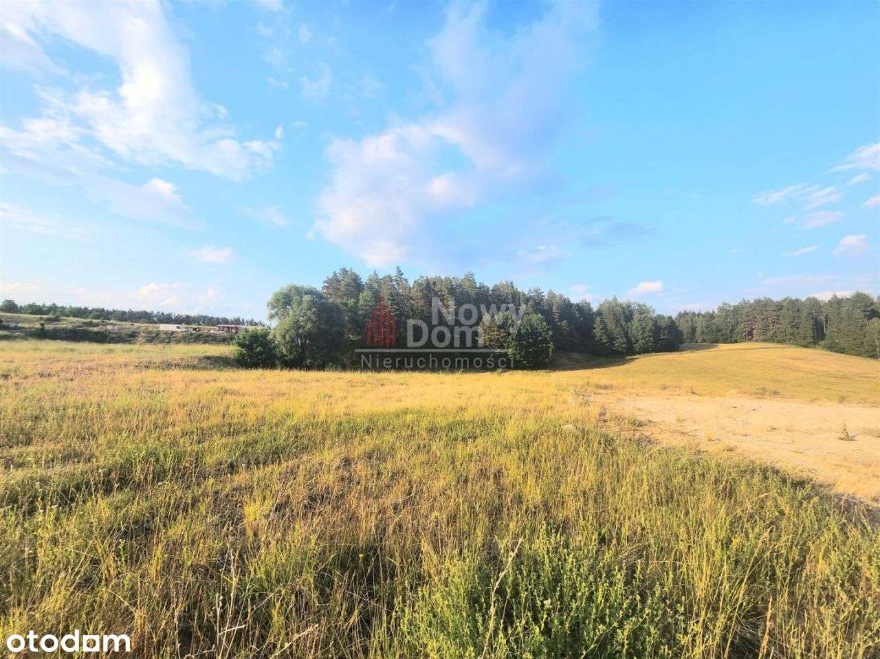 Działka z własnym lasem! - Pełny obrazek: 3/14