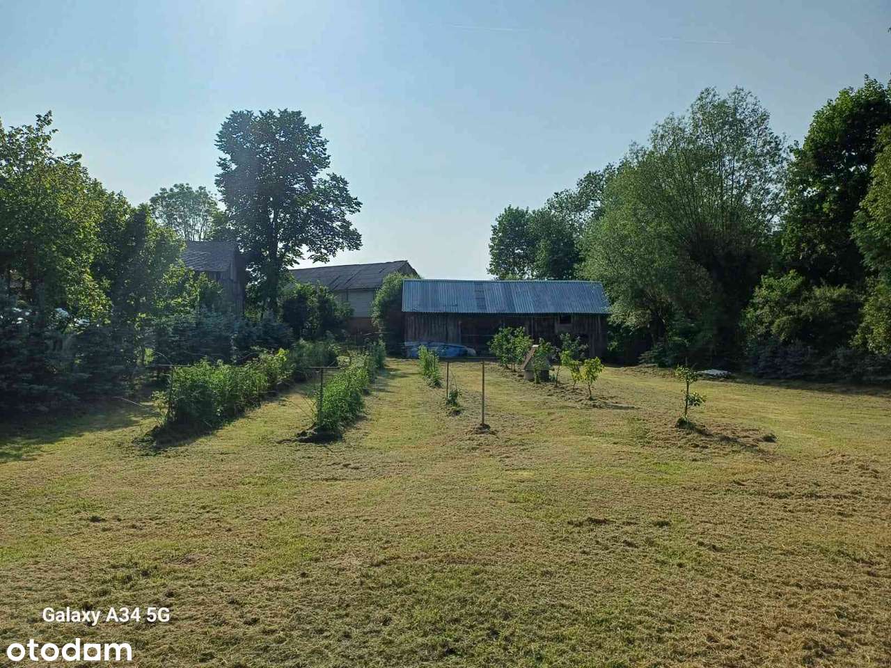 Siedlisko Pilaszkowice Drugie - Pełny obrazek: 5/20