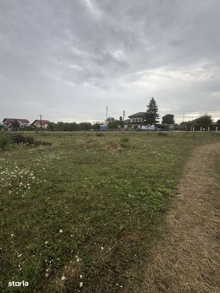 Loturi de teren, in rate-0