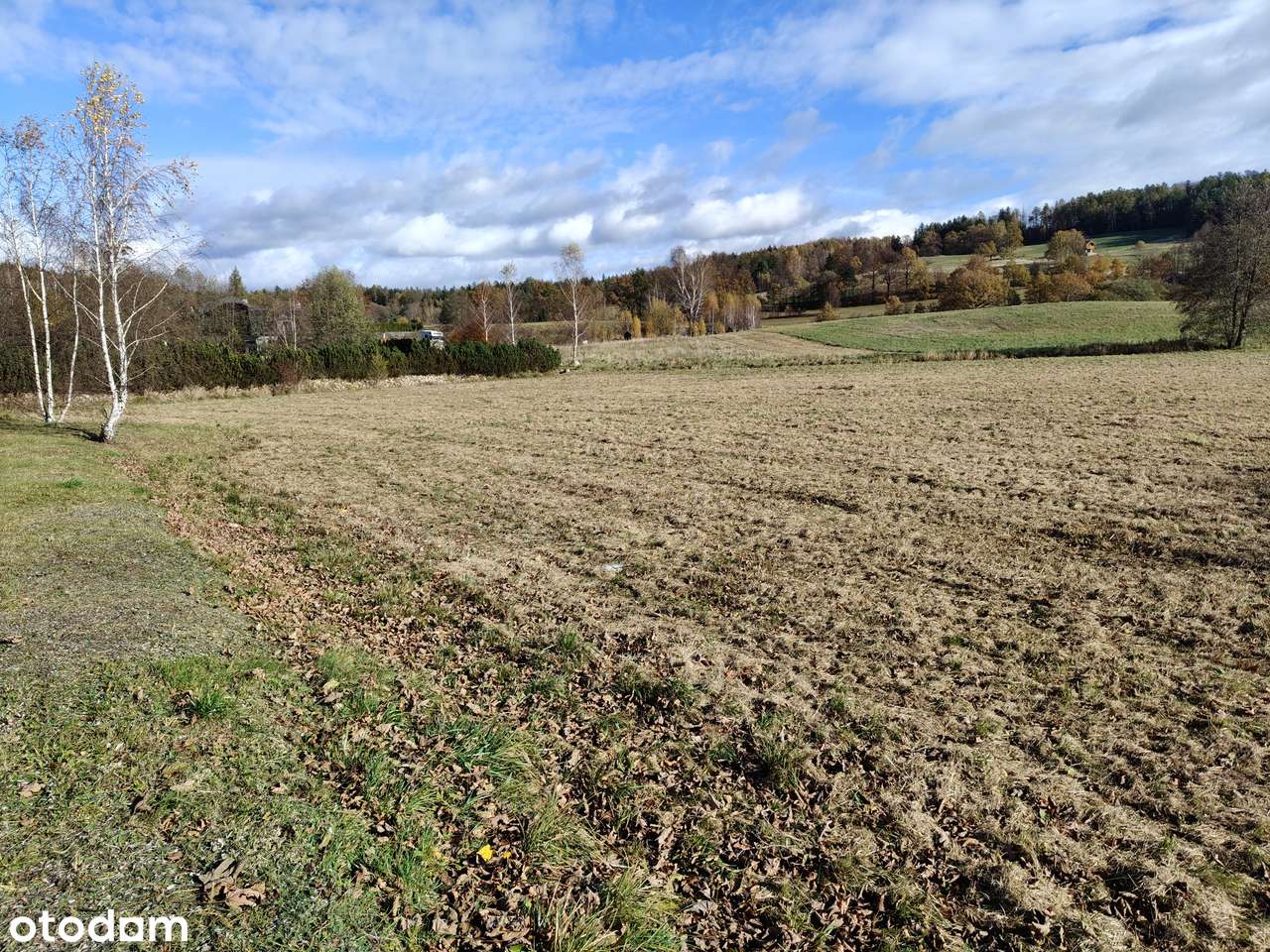 Działka w Sosnówce-5