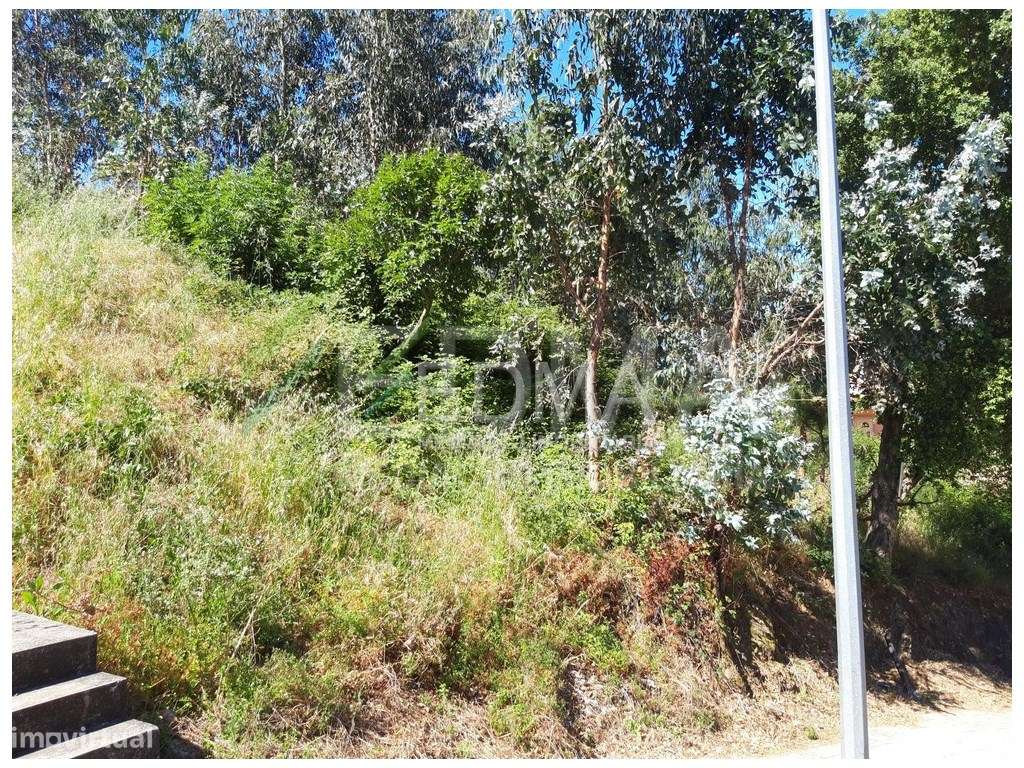 Lotes, Gondomar - Grande imagem: 3/4