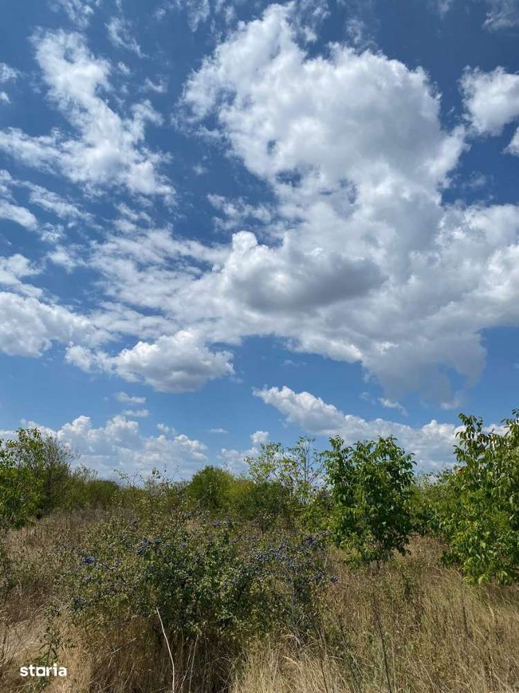 Trestieni - Ulmi, vanzare teren 1.663mp, intravilan - Imagine principală: 4/20