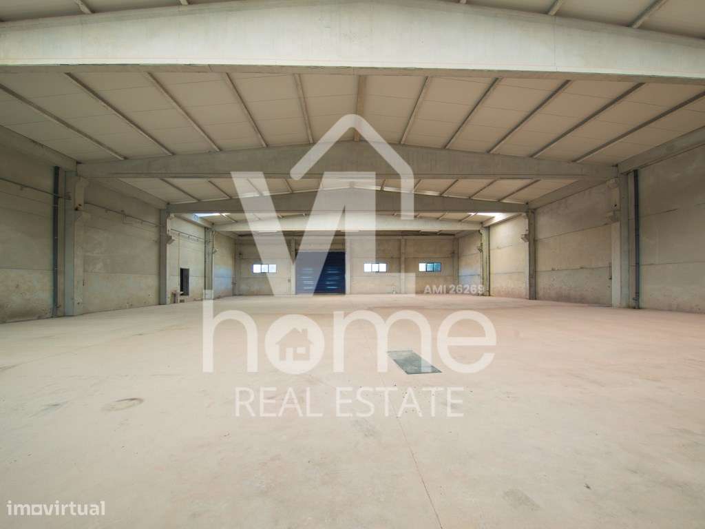 Armazém Industrial de Grande Dimensão - Localização Estratégica-11